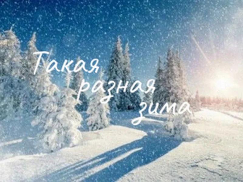 Такая разная зима