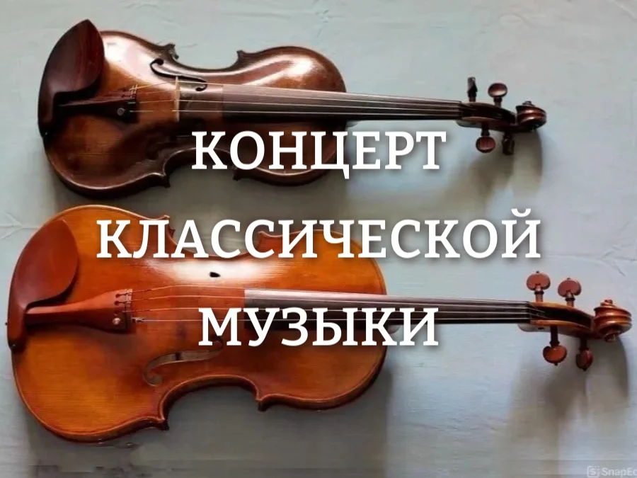 Дуэт для скрипки и альта